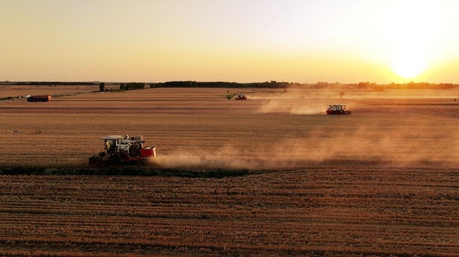 Ferramentas agrícolas inteligentes prontas para ajudar a reduzir perdas de grãos na China A China intensificou os esforços para construir um sistema nacional de redução de perdas de alimentos que abranja produção, armazenamento, distribuição e consumo.