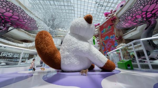 Complexo Duty Free recebe cães e gatos em HainanDe julho a agosto, o Complexo Internacional de Compras Duty-Free de Haikou, operado pelo China Duty Free Group, abriga o que chama de primeiro "espaço social pet-friendly" da província de Hainan.