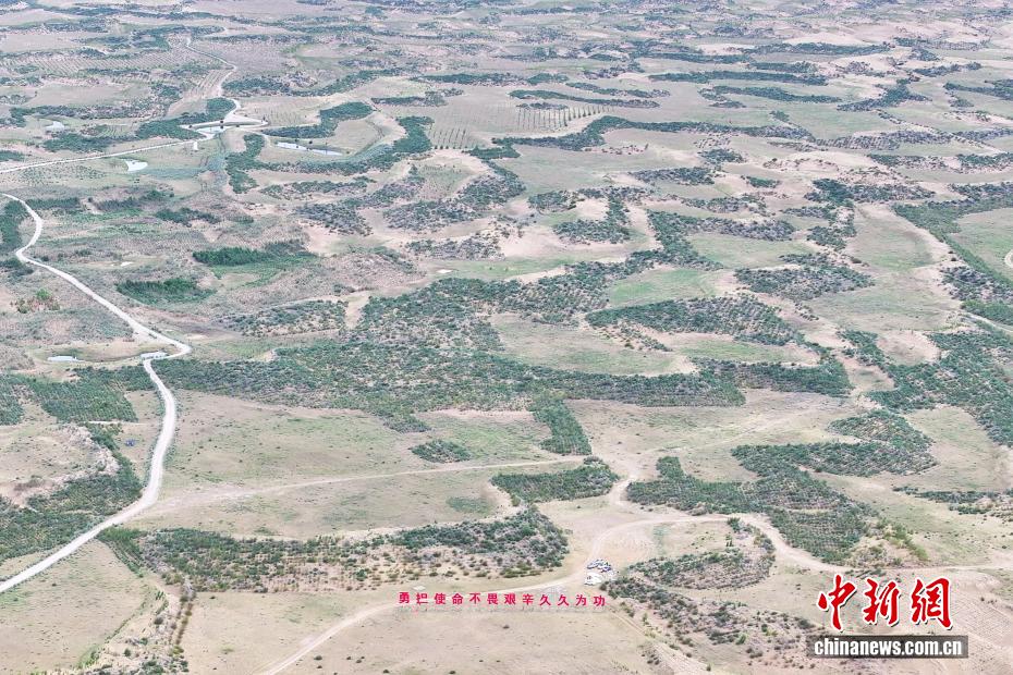 Shazhuyu: exemplo nacional na luta contra desertificação no noroeste da China