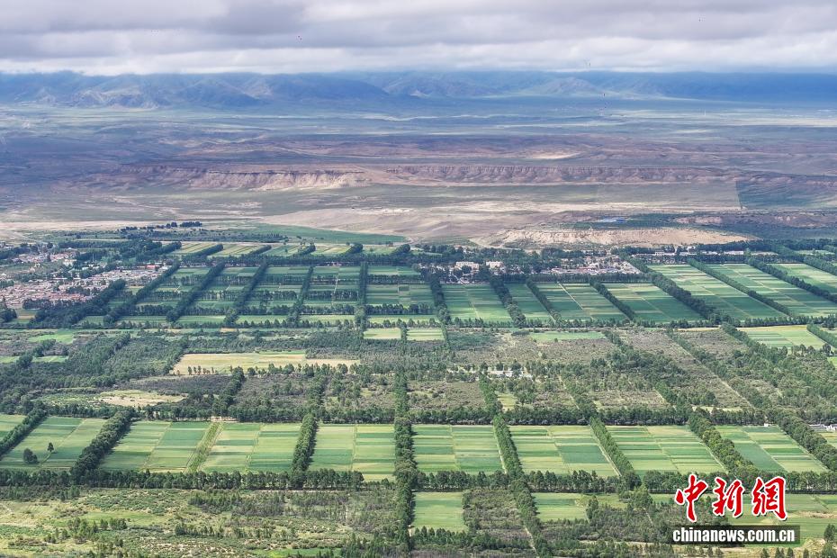 Shazhuyu: exemplo nacional na luta contra desertificação no noroeste da China