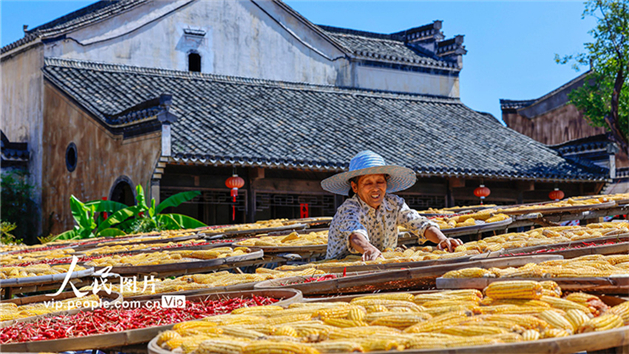 Secagem de grãos atrai turistas para vila antiga de Anhui, leste da China