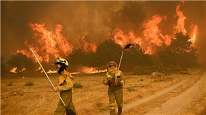 Portugal volta a prolongar estado de alerta nacional devido a incêndios florestaisA ministra da Administração Interna de Portugal, Matilde Araújo, anunciou no dia 17 que o país irá prolongar, mais uma vez, o estado de alerta nacional devido aos incêndios florestais que têm abalado o território nos últimos dias.