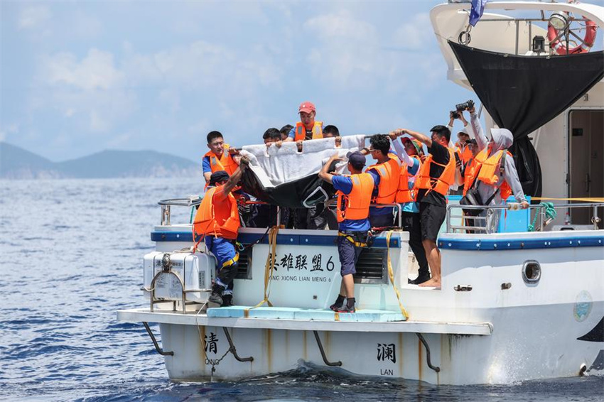 Golfinho encalhado é devolvido à natureza em Hainan