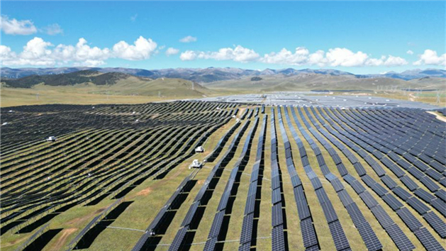 Base fotovoltaica torna-se "restaurante de nível" para iaques em Sichuan