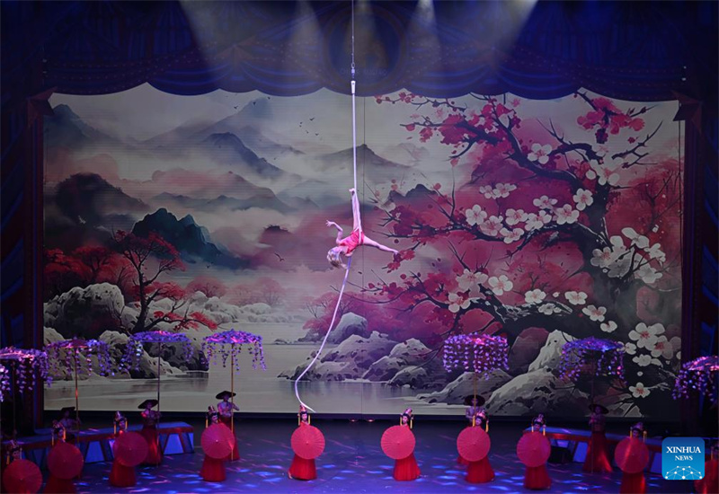 Festival internacional de circo abre na 