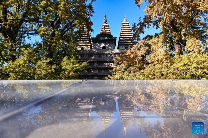 Museu de Arte de Escultura em Pedra de Beijing atrai turistas