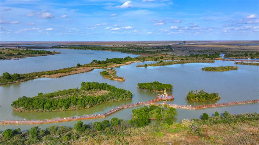 Testemunhando a construção de belas baías em Shandong, no leste da China