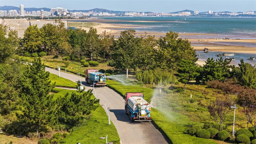 Testemunhando a construção de belas baías em Shandong, no leste da China