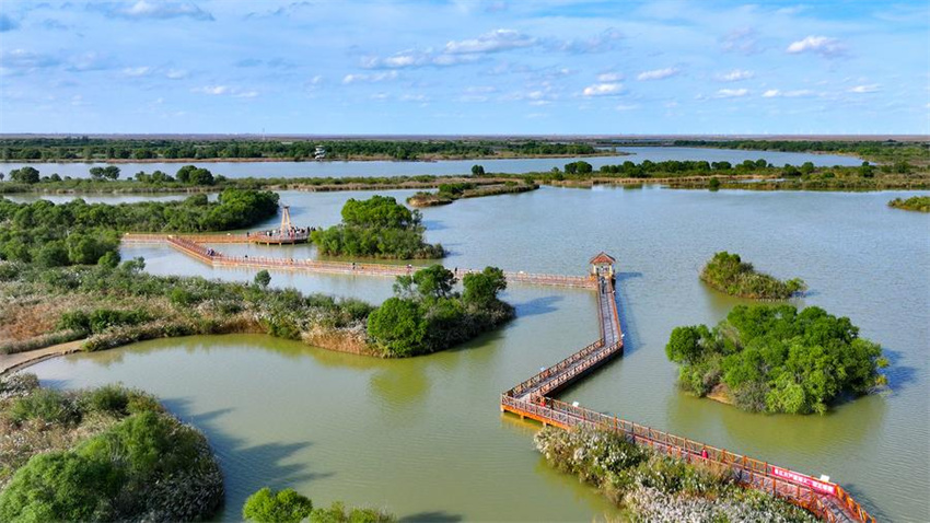 Testemunhando a construção de belas baías em Shandong, no leste da China