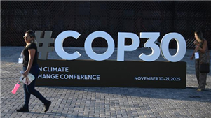 Beijing espera que a COP30 aborde as preocupações dos países em desenvolvimentoAutoridades e especialistas chineses expressaram a esperança de que a COP30, a ser realizada em Belém, Brasil, leve em consideração as preocupações dos países em desenvolvimento, especialmente suas demandas por financiamento.