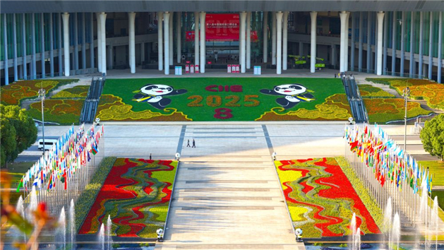 Infográfico: CIIE 2025 atinge maior edição da história com 4.108 expositores e 155 países