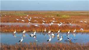 China divulga regulamento sobre monitoramento do ambiente ecológico O primeiro-ministro chinês, Li Qiang, assinou um decreto do Conselho de Estado promulgando um regulamento sobre o monitoramento do ambiente ecológico.
