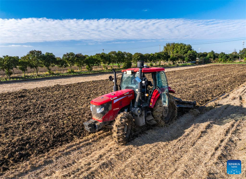Quase 70% do trigo de inverno já foi semeado na China