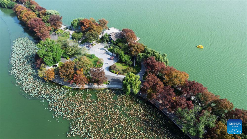 Galeria: paisagem do início do inverno na China