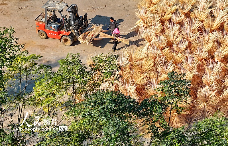 Indústria do bambu impulsiona renda rural em Guangchang, no leste da China