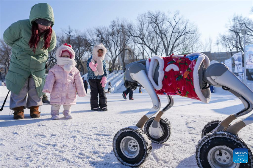 Galeria: rio Songhua congelado em Harbin atrai multidões para atividades de gelo e neve