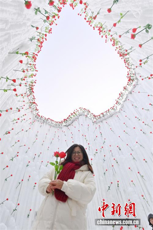 Galeria: paisagem de gelo e neve com tema de rosas atrai turistas
