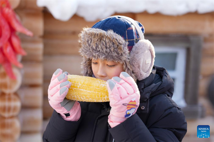 Esculturas de gelo tingidas com corantes vegetais dão mais cor ao Mundo de Gelo e Neve de Harbin