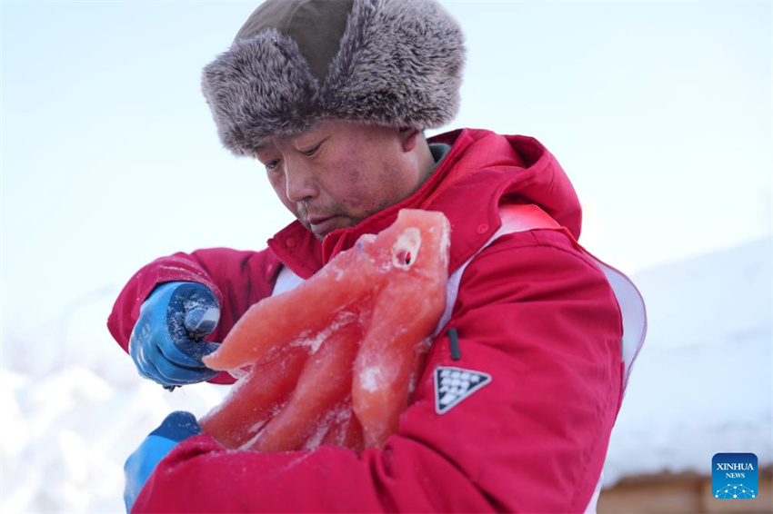 Esculturas de gelo tingidas com corantes vegetais dão mais cor ao Mundo de Gelo e Neve de Harbin