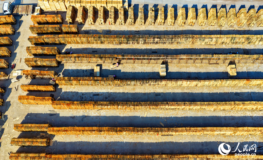 Jiangxi: indústria de madeira e bambu promove desenvolvimento rural em Xingguo