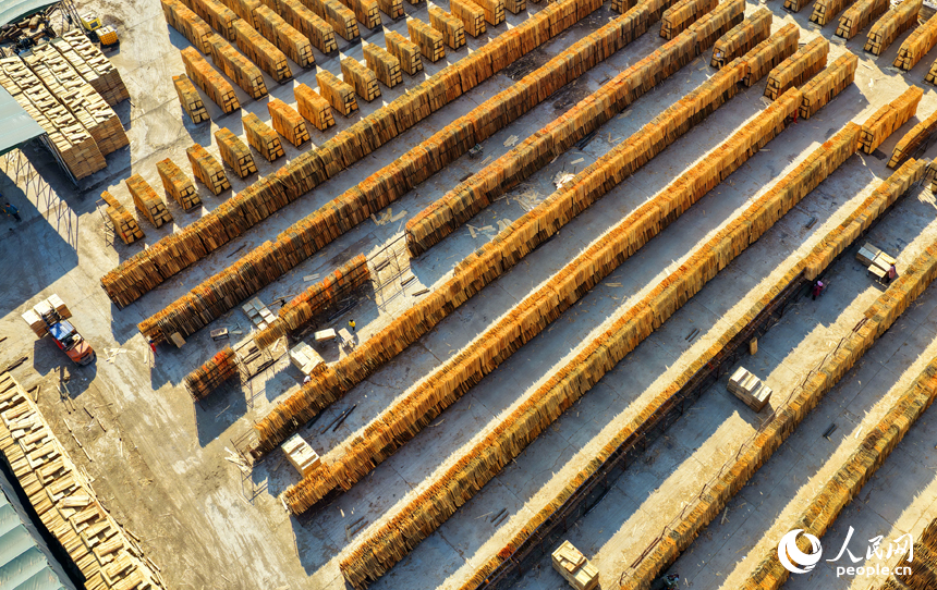 Jiangxi: indústria de madeira e bambu promove desenvolvimento rural em Xingguo