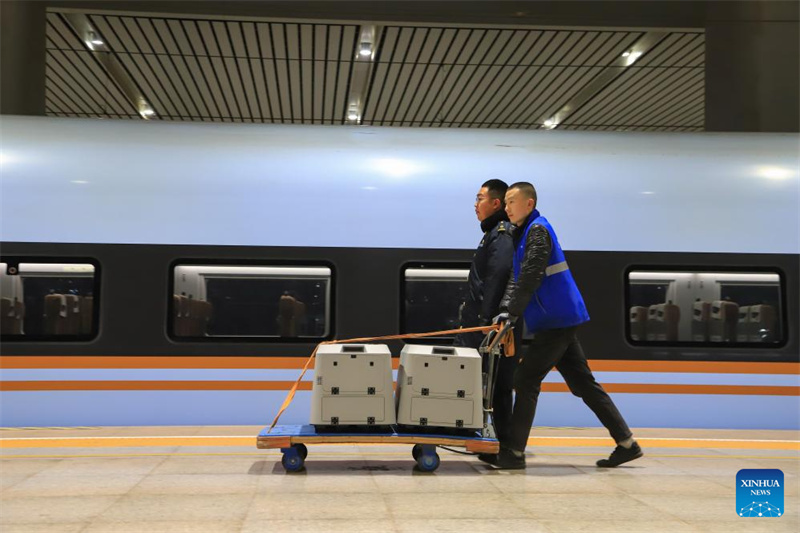 China amplia serviços de transporte de animais de estimação em trens de alta velocidade para viagens do Festival da Primavera