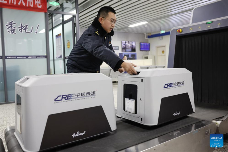 China amplia serviços de transporte de animais de estimação em trens de alta velocidade para viagens do Festival da Primavera