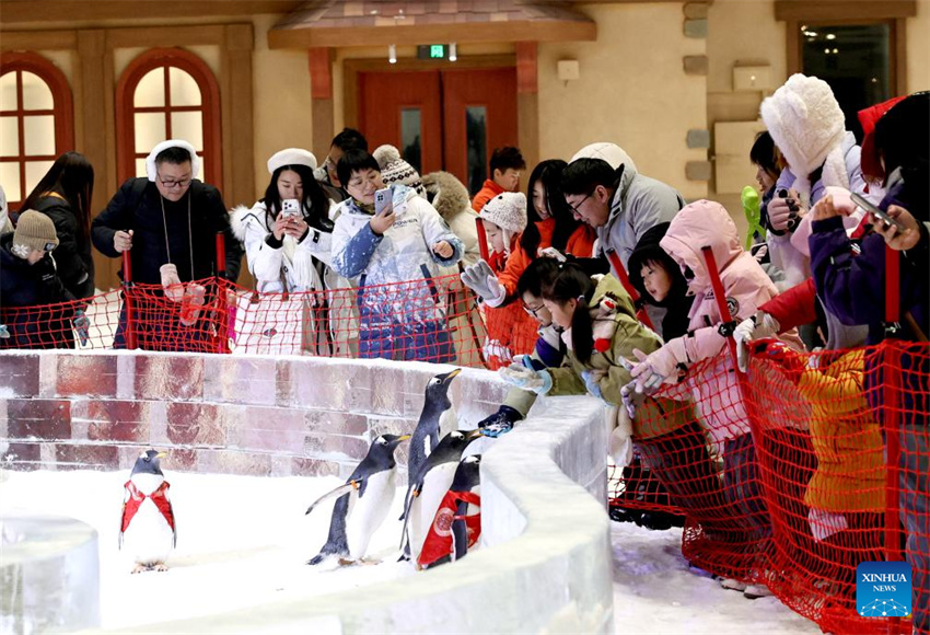 Visitantes se divertem em parque temático de gelo e neve indoor em Shanghai
