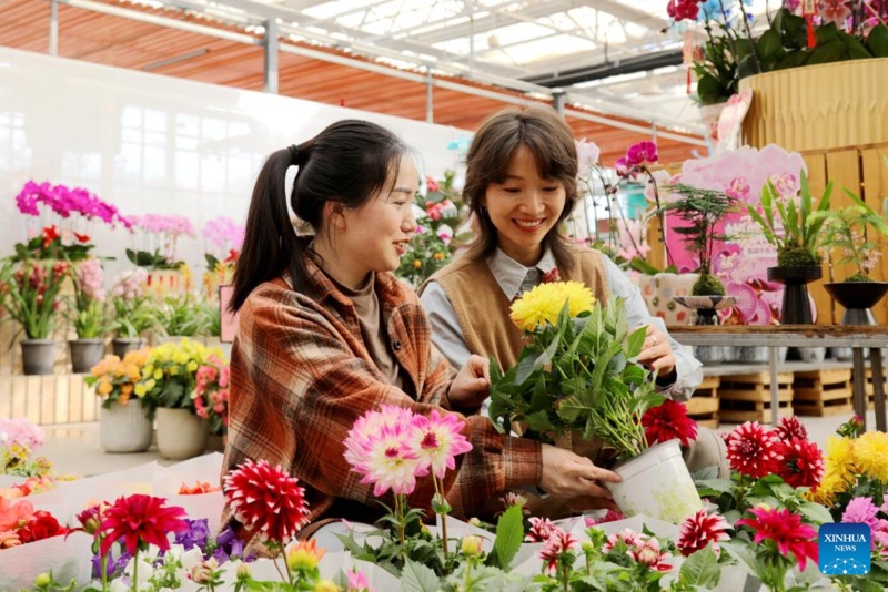 Preparativos para Festival da Primavera avançam em toda a China