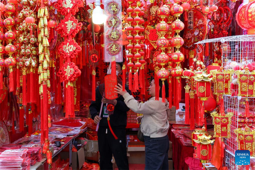 Mercado de flores do Festival da Primavera de 2026 é inaugurado em Shenzhen
