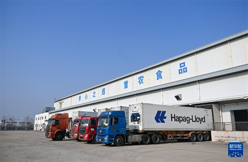 China: produtos frescos do exterior “invadem” feiras do Ano Novo Chinês