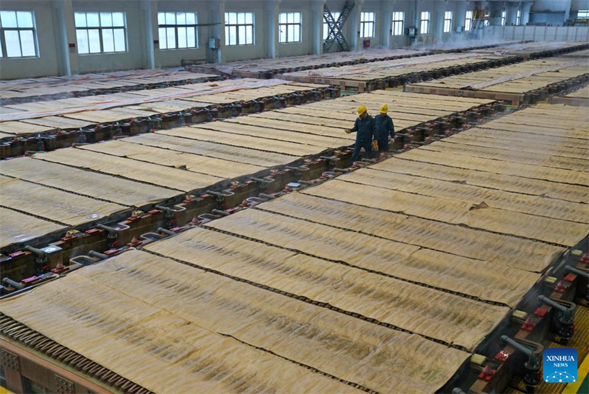 Trabalhadores verificam a condição das placas de cobre numa oficina de eletrólise inteligente da Fundição Guixi, na cidade de Yingtan, província de Jiangxi, leste da China, em 21 de janeiro de 2026. (Foto: Wan Xiang/Xinhua)