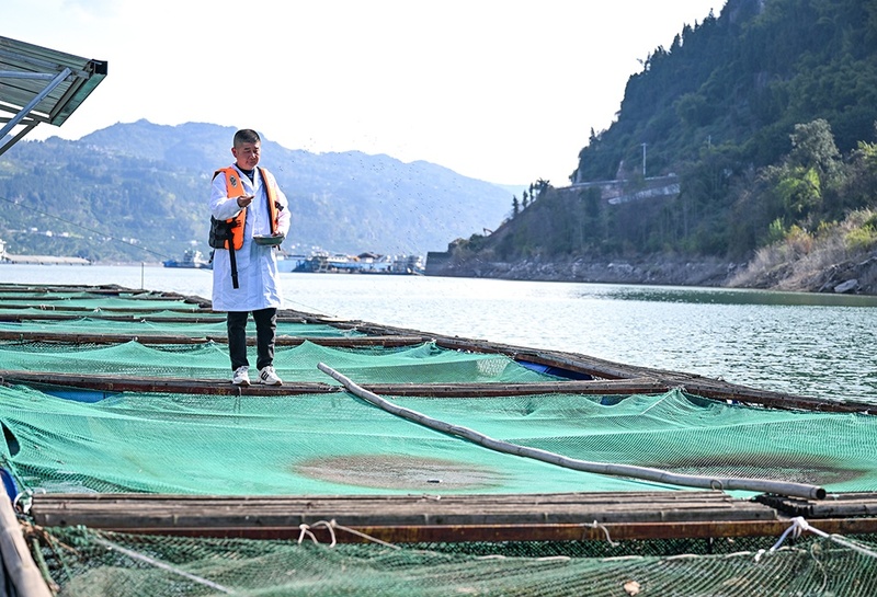 Base em Chongqing protege espécies raras do rio Yangtze