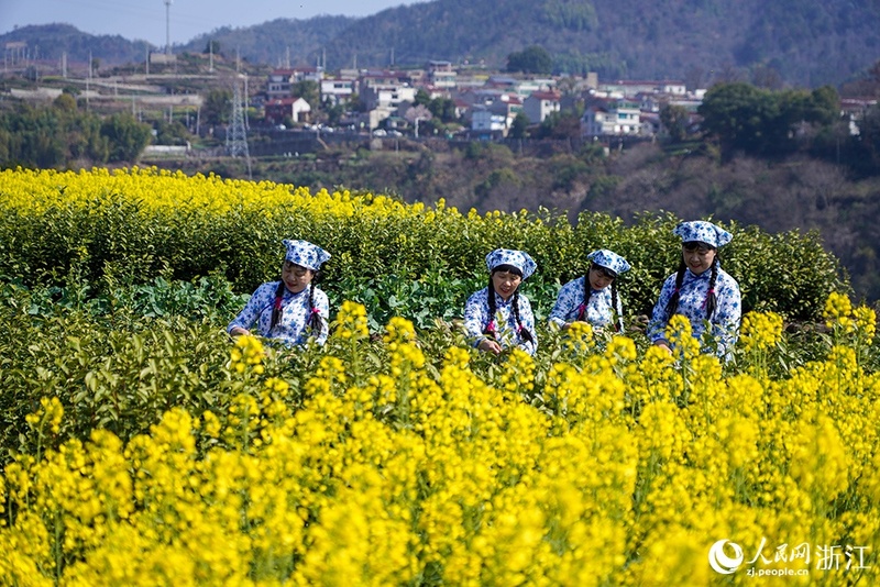 Campos floridos impulsionam turismo rural no leste da China