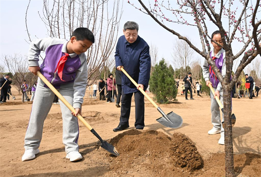 Xi Jinping incentiva mobilização de toda a sociedade em esforços de plantio de árvores