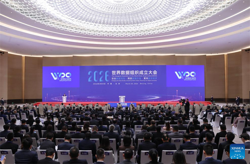 Organização Mundial dos Dados é fundada em Beijing
