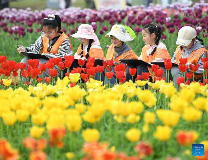 China: alunos do ensino primário e médio desfrutam de sua primeira pausa de primavera