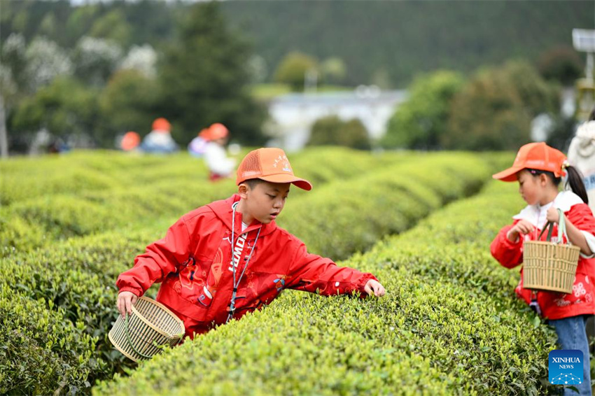 China: alunos do ensino primário e médio desfrutam de sua primeira pausa de primavera