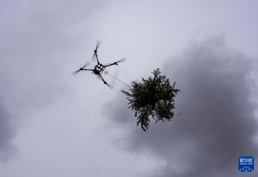 China utiliza drones para tornar colinas áridas verdes