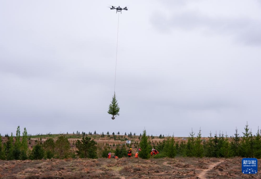 China utiliza drones para tornar colinas áridas verdes