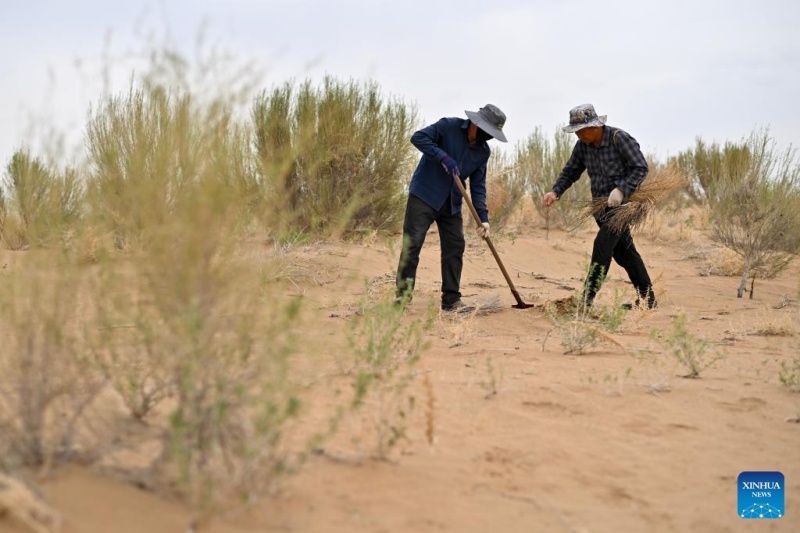 Mongólia Interior: gestão ecológica do Deserto de Ulan Buh obtém novos avanços