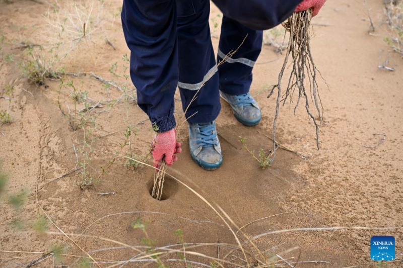 Mongólia Interior: gestão ecológica do Deserto de Ulan Buh obtém novos avanços