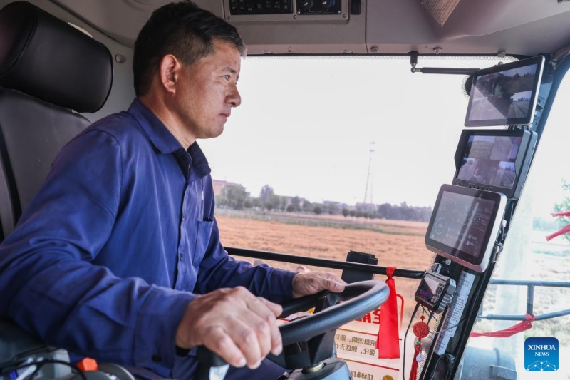 Dispositivos inteligentes implantados durante colheita de trigo em Anhui, na China