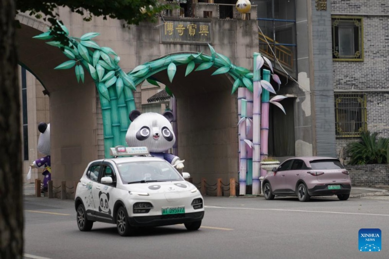 Galeria: cidade antiga com temática de panda-gigante em Sichuan