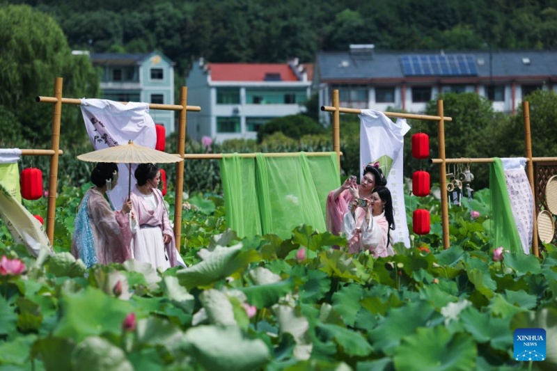 Evento de turismo cultural centrado na flor de lótus realizado em vila de Zhejiang