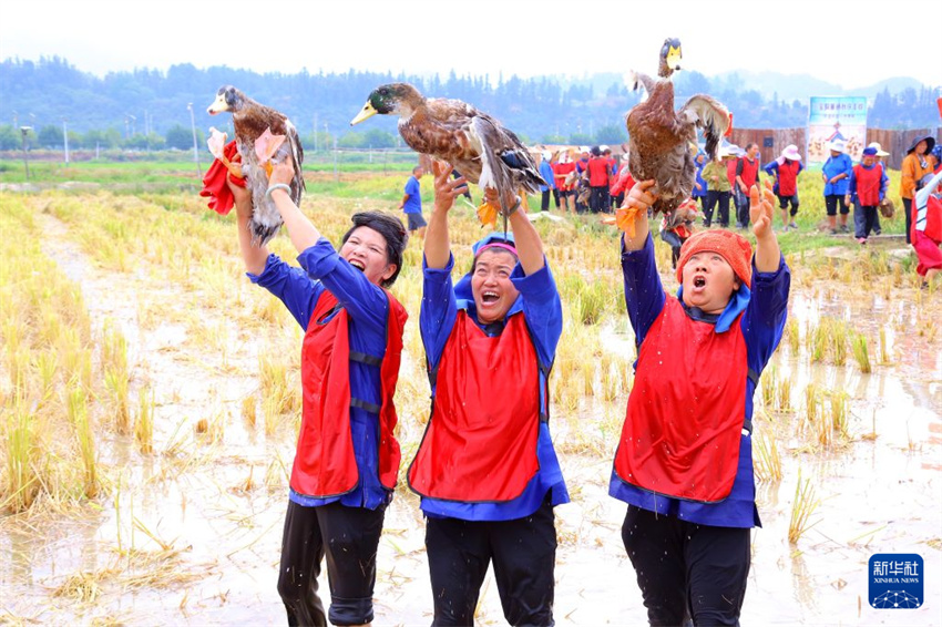 China celebra Dia Nacional com realização de atividades diversas