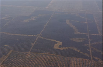 Certificado pelo Guinness: "cavalo" de painéis solares gera eletricidade