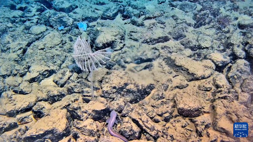 Submersível chinês Jiaolong conclui 467ª operação de mergulho