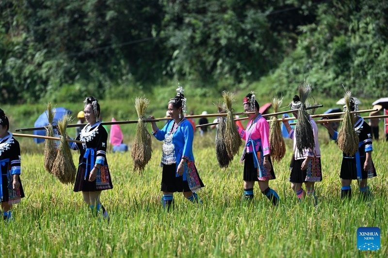 China celebra colheita do arroz glutinoso com festival tradicional em Guangxi