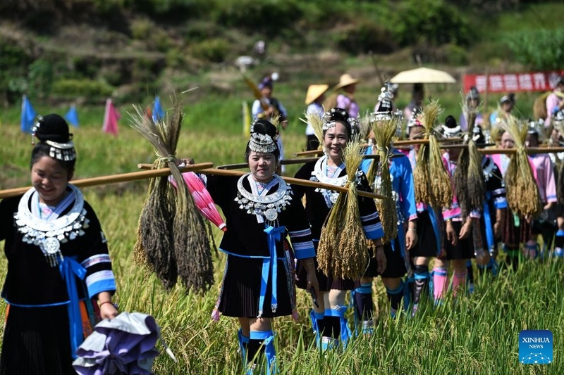 China celebra colheita do arroz glutinoso com festival tradicional em Guangxi